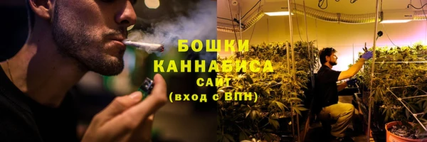 СК Богородск
