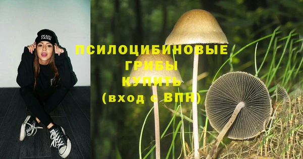 mix Богданович