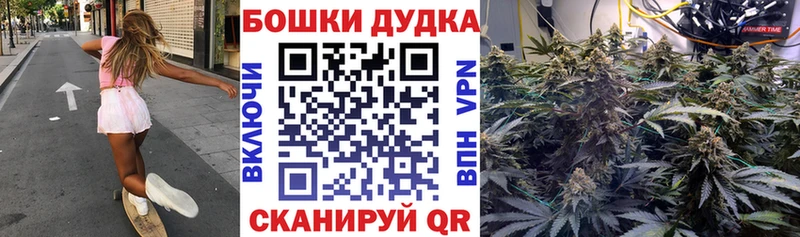 закладка  Назарово  Каннабис конопля 